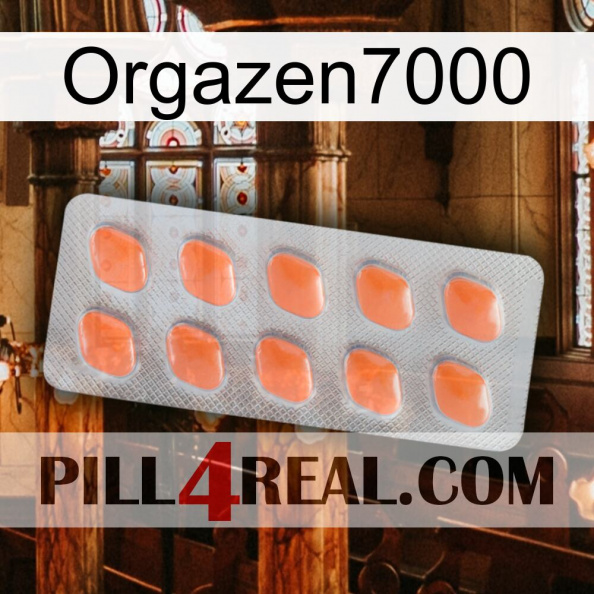 Orgazen7000 26.jpg